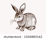 Graphical Vintage Bunny  Retro...