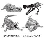 graphical set of crocodiles... | Shutterstock .eps vector #1421207645