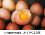 Chicken eggs collect from farm products natural healthy eating concept  Fresh broken egg yolk