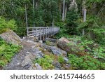 Small photo of A bridge crosses a river as the trail leads deeper into the forest