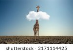Small photo of alone wild giraffe on dry desert. Extinction and ecology, environment protection ( Red List ) concept