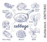 Doodle Set Of Cabbage   Kale ...
