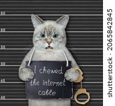 Small photo of An ashen cat was arrested. He has a sign around its neck that says I chewed the internet cable. Police lineup background.
