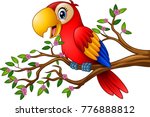 Cartoon Macaw On Tree Branch