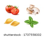 vector traditional italian... | Shutterstock .eps vector #1737558332