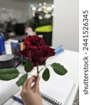 Small photo of The red rose is a beautiful and meaningful flower that has captivated people for centuries. Its rich red color, classic shape, and delightful fragrance make it a timeless symbol of love and passion.