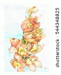Water Color Painting Of Orchids 