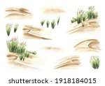 Coastal Dune  Sea Grass Set....