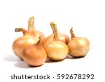 Young fresh onion isolated on a white background.
