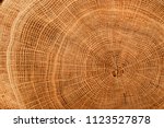 Old Wooden Oak Tree Cut Surface....