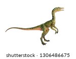 Small photo of Compsognathus or Compy is dinosaur theropod carnivorous in genus of smallest in the world. isolated on white background.