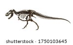 Fossil Skeleton Of Dinosaur...