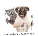 Cat And Dog With  Toothbrushes...