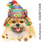 Cute Dog In Peruvian Hat. Dog T ...
