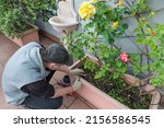Small photo of Home gardening. Irrigation plants. Man is installing an automatic drip irrigation system. Drippers in flower pot with rose plants