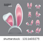 Rabbit Ears Realistic 3d Vector ...