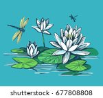 Flowers Of Water Lilies And...