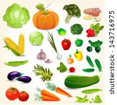 set of fresh vegetables for... | Shutterstock .eps vector #143716975