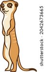a cute meerkat standing  up on... | Shutterstock .eps vector #2042673665