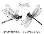Hand Drawings Dragonfly. Black...