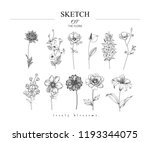sketch floral botany set. ... | Shutterstock .eps vector #1193344075