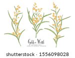 vintage botanical illustration. ... | Shutterstock .eps vector #1556098028