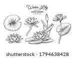 Sketch Floral Decorative Set....