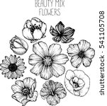 Mix Flowers Drawing Vector...