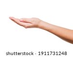Female hand on a white background. A beautiful womans open hand isolated on white background. Palm up.