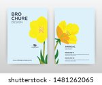 yellow flower petal design for... | Shutterstock .eps vector #1481262065