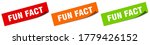 fun fact sticker. fun fact... | Shutterstock .eps vector #1779426152