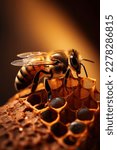 Small photo of Bee on a honeycomb in a hive. Detailed macro image of a bee collecting honey in a beehive