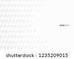 abstract. hexagon white... | Shutterstock .eps vector #1235209015