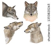 Set Of Gray Wolf Vector...