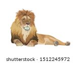 Lion Lying Down Image. Vector...