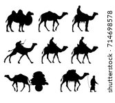 Set Of Vector Camels. Black...