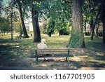 retire senior on a bench, back view of old man spending his time in summer holiday
