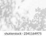 Small photo of Abstract leaf shadow and light blurred background. Natural leaves tree branch shadows and sunlight dappled on white concrete wall texture for background wallpaper and design, shadow overlay effect