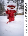 Red Fire Hydrant Covered In...
