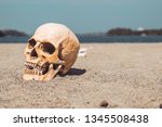 Human Skull Lying On The Sandy...