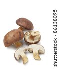 Fresh Bay Bolete Mushrooms...