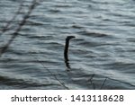 Small photo of blurred photo of a branch peeping out of water resembling typical Loch Ness Monster picture