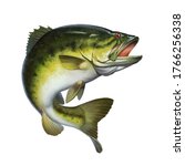 bass fish jumps out of water isolate realistic illustration. Big Largemouth Bass. perch fishing in the usa on a river or lake at the weekend.