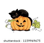 black cat on pumpkin   funny... | Shutterstock .eps vector #1159969675