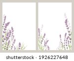 Lavender Flowers. Vector...