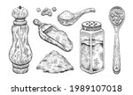 vector salt pepper illustration.... | Shutterstock .eps vector #1989107018