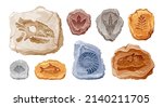 fossil vector. archeologic... | Shutterstock .eps vector #2140211705