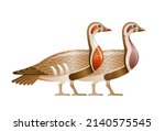 Egyptian Bird Vector. Geese...