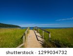 Wooden walking path for access to the sandy beach in Baie Saint Paul, Charlevoix Quebec Canada. The sky is blue. The path is surrounded by green grass.