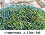 Small photo of Seaweed farming. Bags of collected seaweed. Rote Island (Pulau Rote), Rote Ndao, East Nusa Tenggara.